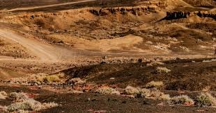 巴赫：期待拜仁可以晋级欧冠决赛并夺冠，并打趣